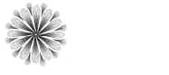 sallyphotography - Fotografin aus Ulm für sichtbare Geschichten